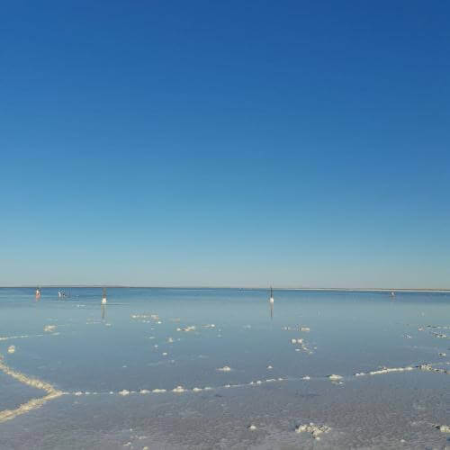 Фото: Dizzylazzy, CC BY-SA 4.0 https://creativecommons.org/licenses/by-sa/4.0, через Викисклад