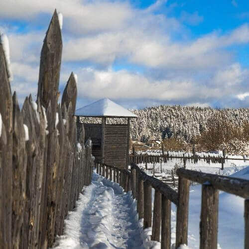 Фото от партнёра.