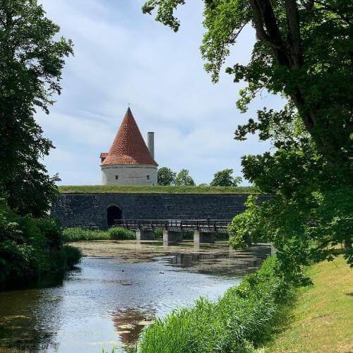 Источник: Pixabay