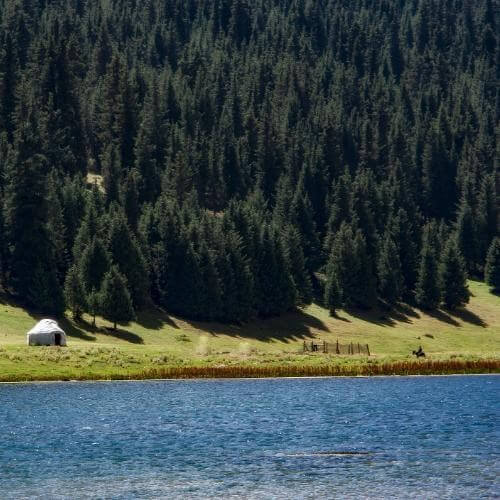 Фото: Vilya Shoni / Wikimedia Commons — CC BY-SA 4.0.