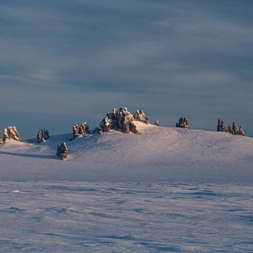 Фото от партнёра.
