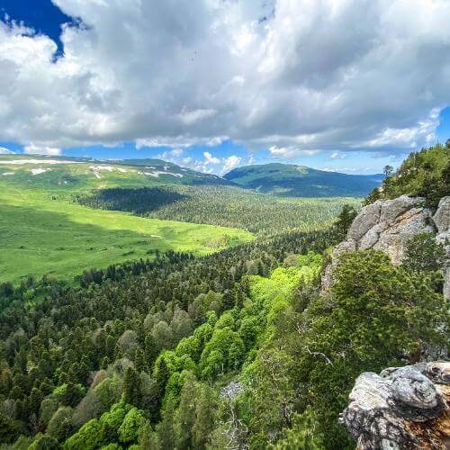 Фото: от партнёра