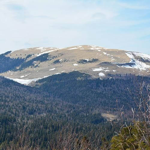 Фото: Tswet2012, CC BY-SA 4.0 https://creativecommons.org/licenses/by-sa/4.0, via Wikimedia Commons