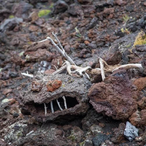 Фото от партнёра.