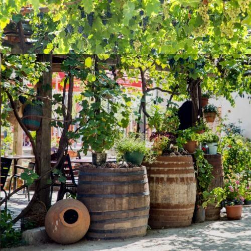 Фото от партнёра.