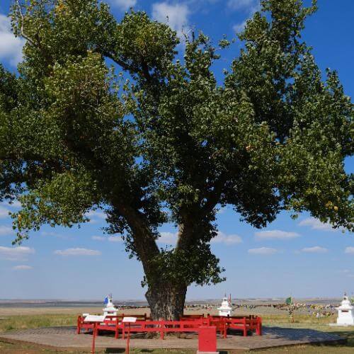 Фото от партнёра.