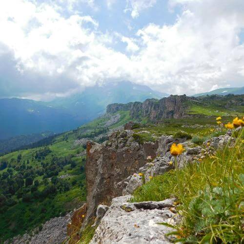 Фото: от партнёра.