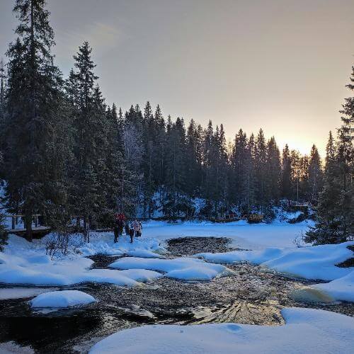 Фото: от партнёра. 