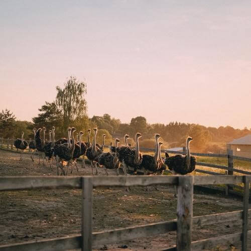 Фото: от партнера