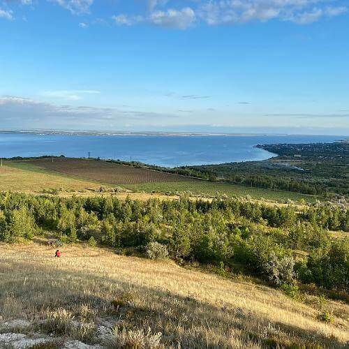 Фото: Iksanov Ildus Myasutovich(Иксанов Илдус Мясутович), CC BY-SA 4.0 https://creativecommons.org/licenses/by-sa/4.0, via Wikimedia Commons