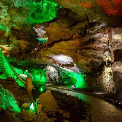 Фото: Zysko serhii, CC BY-SA 4.0 https://creativecommons.org/licenses/by-sa/4.0, via Wikimedia Commons