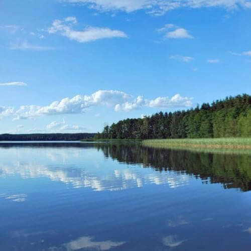 Фото: Chystakhvalau Uladzimir, CC BY-SA 4.0 https://creativecommons.org/licenses/by-sa/4.0, via Wikimedia Commons