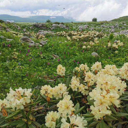 Фото: от партнёра