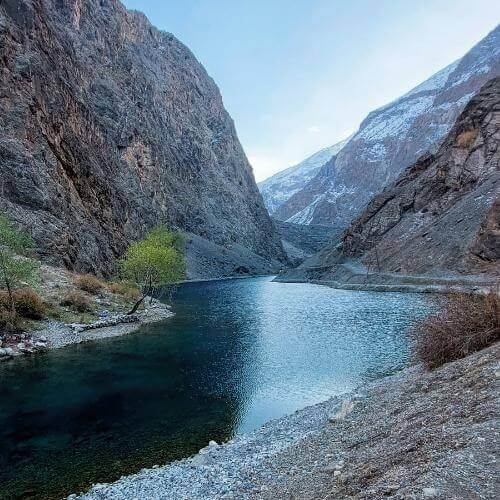 Фото от партнёра.