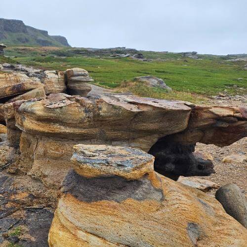 Фото: от партнера