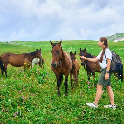 Фото: от партнёра