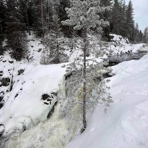 Фото от партнёра.