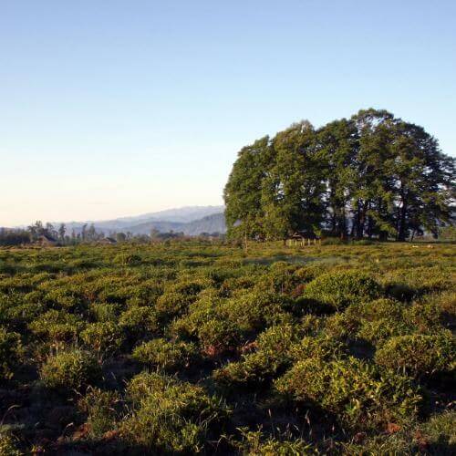 Фото от партнёра.