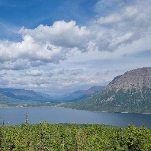 Источник: от партнёра