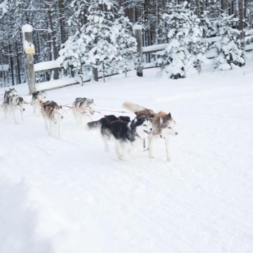   Фото: от партнёра.       