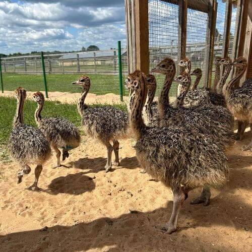 Фото: от партнера