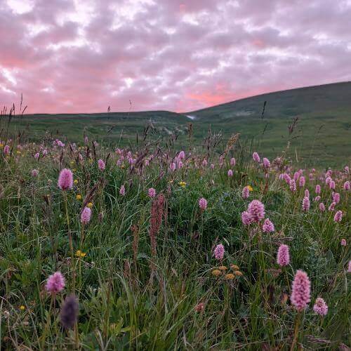 Фото: от партнёра