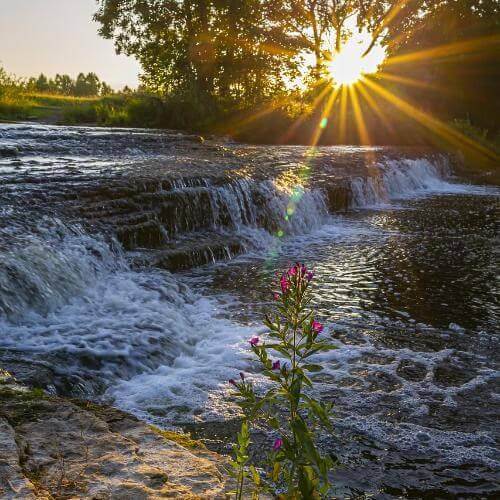 Кейла-Йоа. Источник: Pixabay