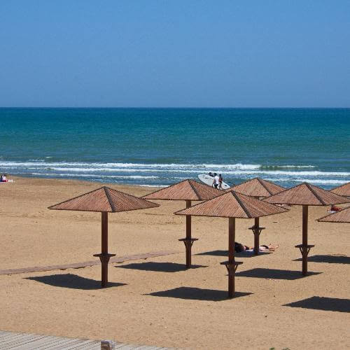 Фото от партнёра.