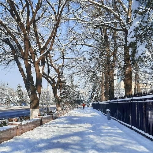 Фото от партнёра.