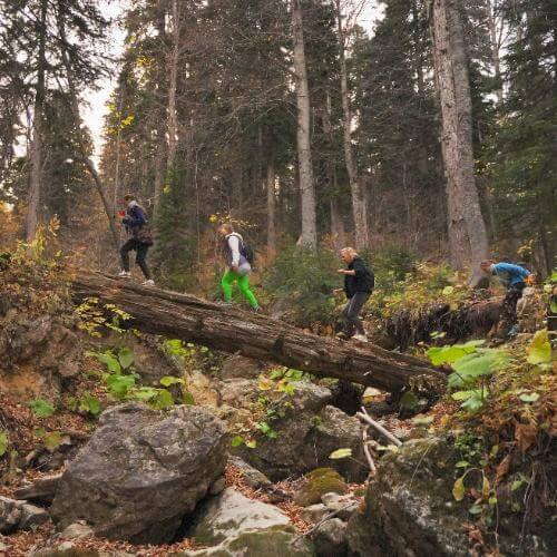 Фото: от партнёра.