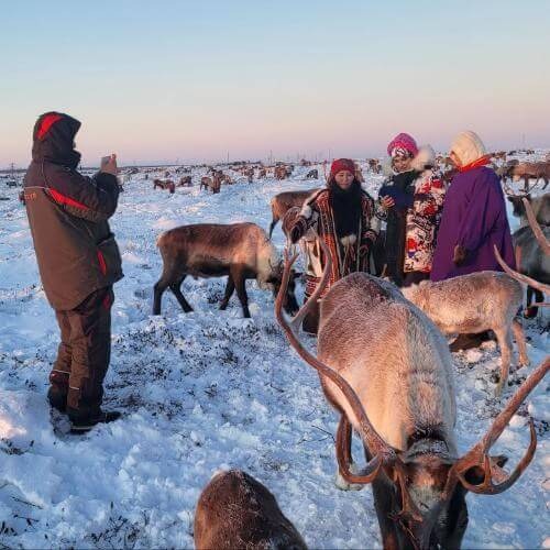 Источник: от партнёра