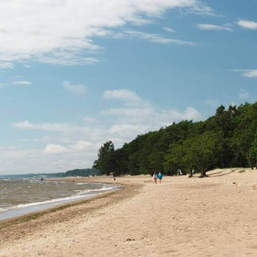 Фото: Victor Gleim, CC BY-SA 4.0 https://creativecommons.org/licenses/by-sa/4.0, via Wikimedia Commons