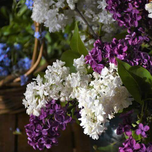 Источник: Pixabay