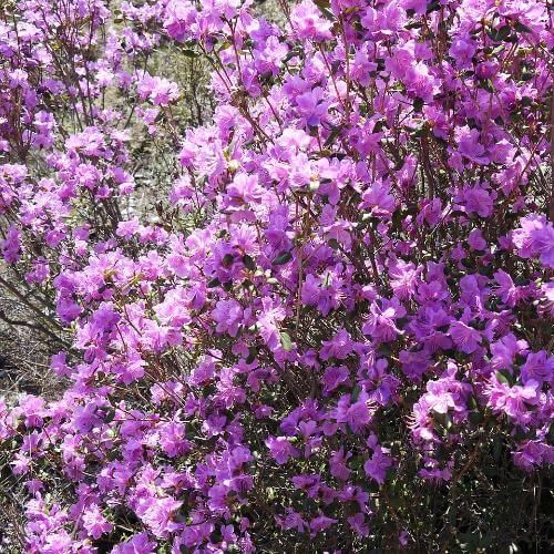 Источник: Pixabay