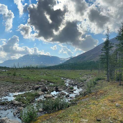 Источник: от партнёра           