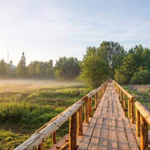 Фото: Zirman, CC BY-SA 4.0 https://creativecommons.org/licenses/by-sa/4.0, via Wikimedia Commons