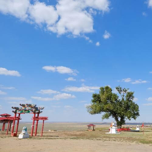 Фото от партнёра.