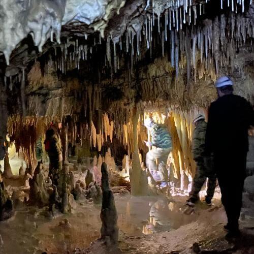 Фото: от партнёра.