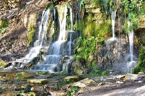 Фото: Александр Байдуков, CC BY-SA 4.0 https://creativecommons.org/licenses/by-sa/4.0, via Wikimedia Commons