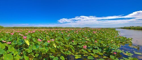 В край "каспийской розы"