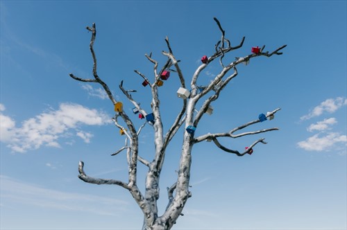 Столица Карелии