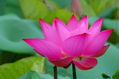 Нижний Новгород (Городец)- Санкт-Петербург (проспект Обуховской Обороны)